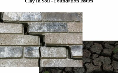 Chapter 1- REI In A New City- The Breakout & The Blunders Clay In Soil – Foundation Issues